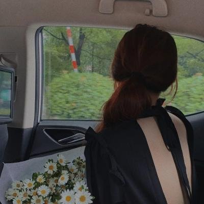 光荣之路上的狗